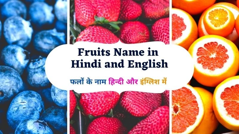 Fruits Name in English Fruits Name in Hindi and English