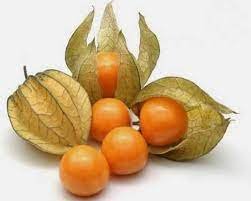 Makoy Fruit