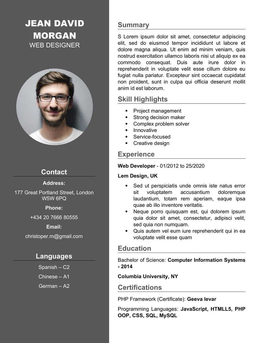 excellent cv templates