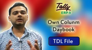Own Colunm Daybook (Tally ERP 9 Add-on .tdl File)