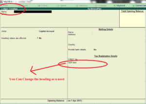 User Defined Field in Master (Tally ERP 9 Add-on .tdl File)