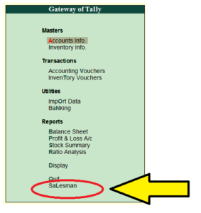 Salesman Wise Sales Report Add-on TDL for Tally ERP 9 (.txt .tcp .tdl)