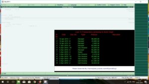 Mini Statement TDL for Tally ERP 9