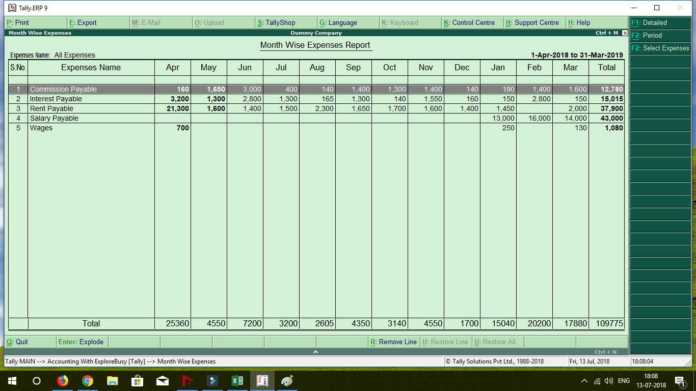Month Wise Income and Expenses Report TDL