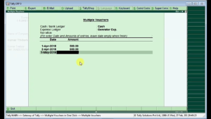 Enter Multiple Vouchers Entry by One Entry TDL for Tally ERP 9