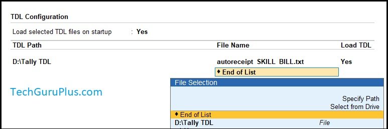 Tally File Extension