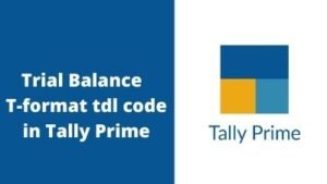 How to make Trial Balance in T-format tdl code for Tally Prime?