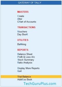How to make Trial Balance in T-format tdl code for Tally Prime?