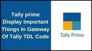 Tally Prime Display Important Report At One Place TDL Code