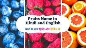 [Download] All Fruits Name in English | Fruits Name in Hindi and English | फलों के नाम