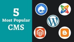 5 Most Popular Content Management Systems (CMS)
