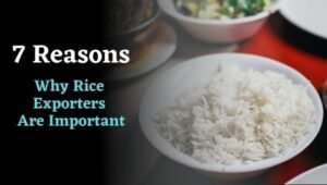 7 Reasons Why Rice Exporters Are Important