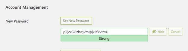 Set new Password WordPress Dashboard