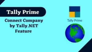 Tally Prime - Connect Company by Tally.NET Feature