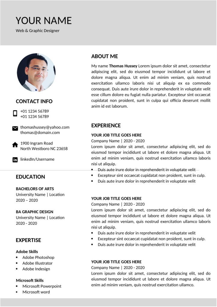 Modern Resume Format FREE Download (.doc .pdf)