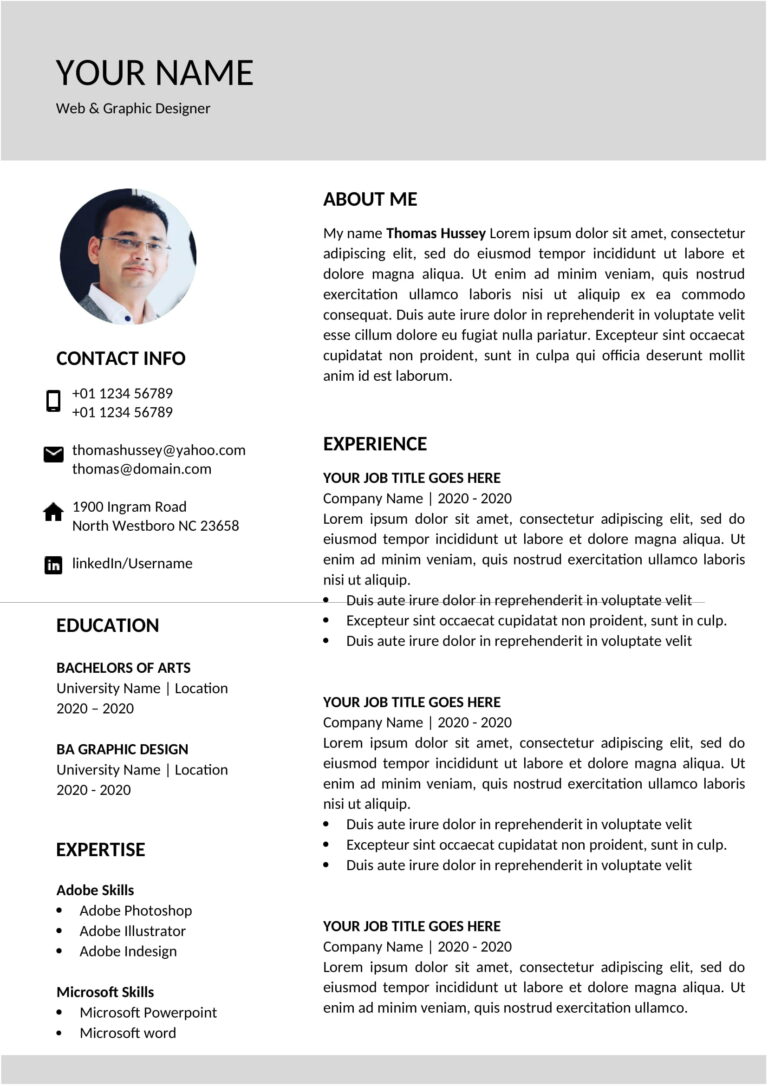 Modern Resume Format Free Download (.doc .pdf)