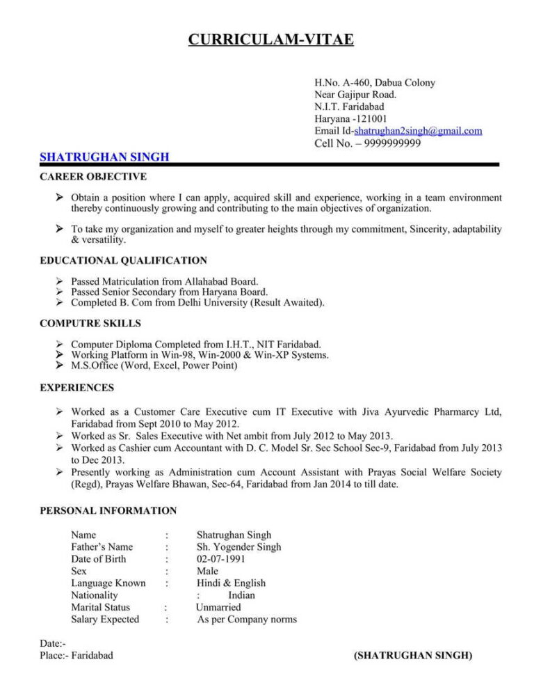 20+ ACCOUNTANT Resume CV Format in Word (.docx) FREE DOWNLOAD