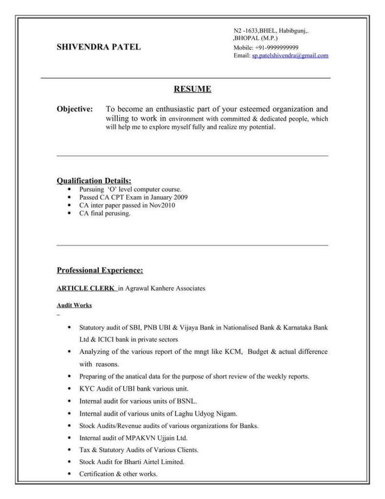 accountant resume format in word free download in india