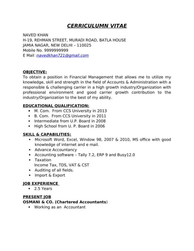 20+ ACCOUNTANT Resume CV Format in Word (.docx) FREE DOWNLOAD