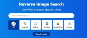 What are the Benefits of Reverse Image Search?