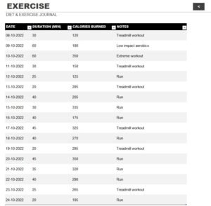 Diet And Exercise Journal Template In Excel (Download.xlsx)