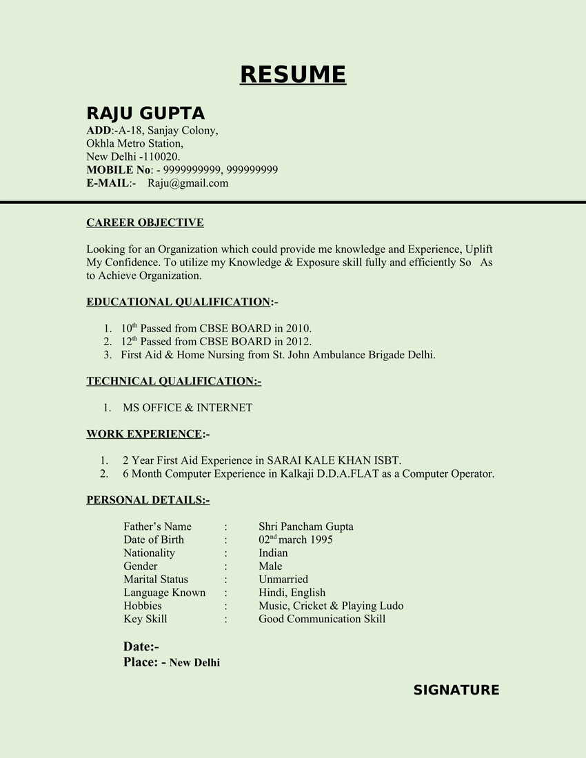 20 Computer Operator Resume CV Templates In Word docx 