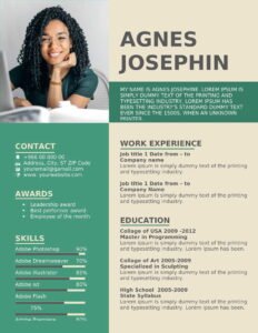 Attractive CV Template Word Free Download Latest