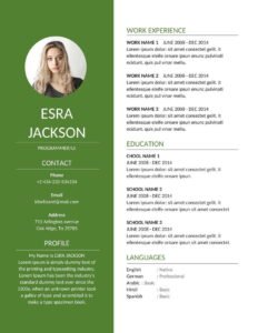 Attractive CV Template Word Free Download (.docx & .pdf)