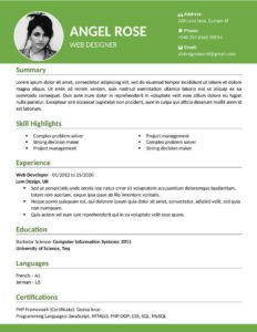 Resume Format For Experienced Professional (.docx & .pdf)