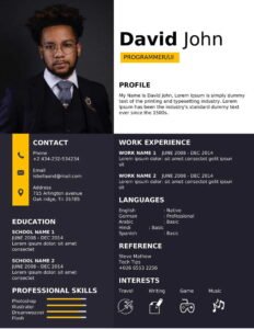1 Year Experience Resume Sample PDF Download