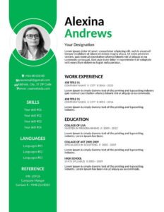 Experience Resume Format For Job (.docx & .pdf)