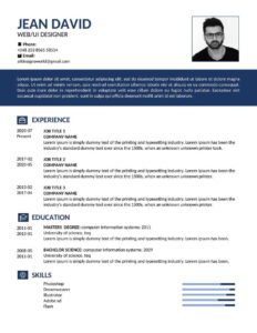 Resume Summary Examples For Students With No Work Experience