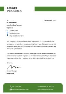 Editable Modern Professional Letterhead Examples (.docx Word & PDF)