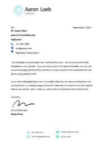 Editable Stylish Business Letterhead Templates (.docx Word & PDF)