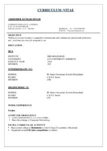 Download Fresher Resume Format Free (2 Page)