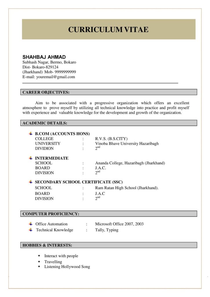 resume format pdf for freshers download