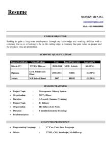 Fresher Resume/CV Format Doc File (2 Page) Editable