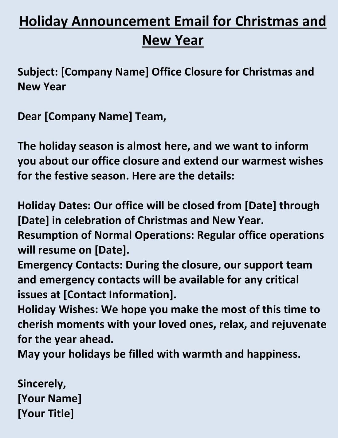 Holiday Announcement Email for Christmas and New Year
