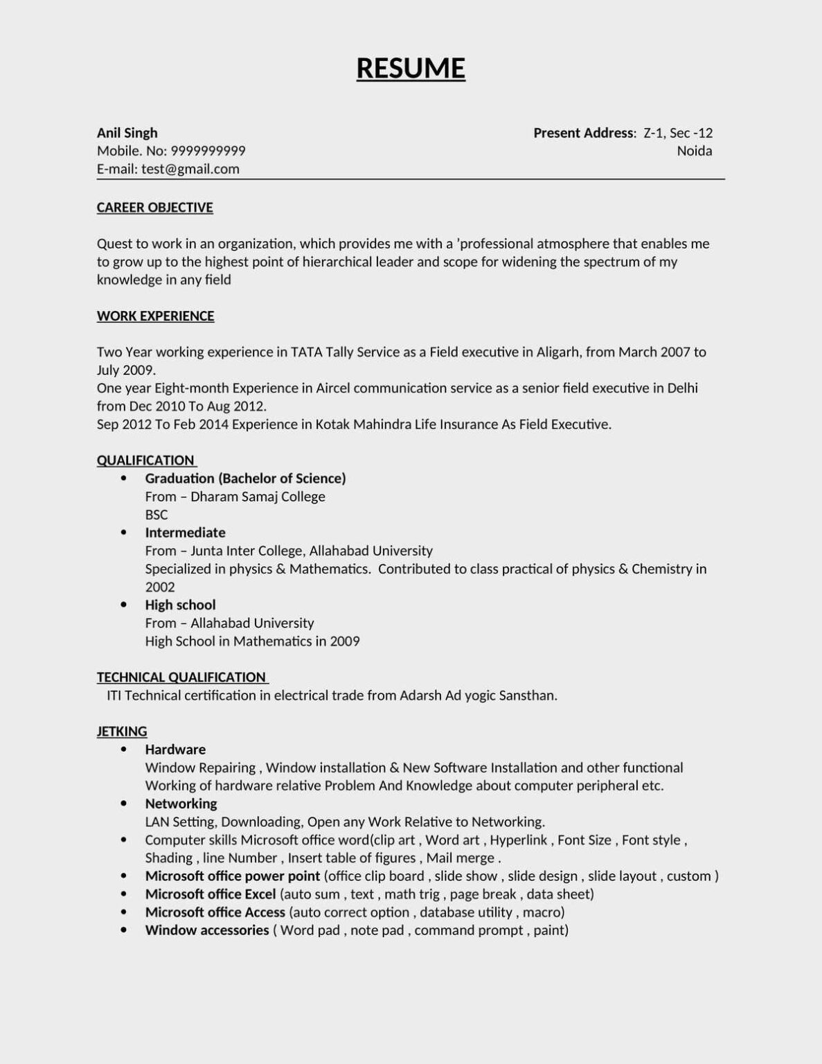 best-field-boy-resume-sample-download-in-word