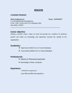 Field Worker Resume Examples Download Word File