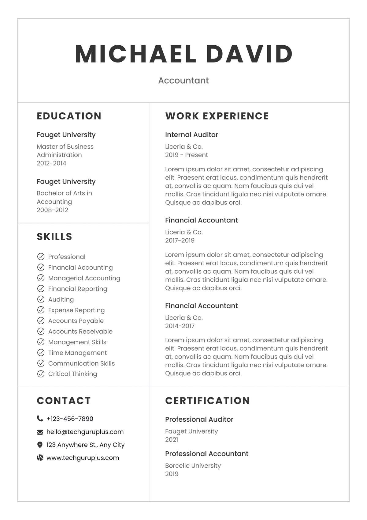 Accountant Editable Resume Template Download in docx-3