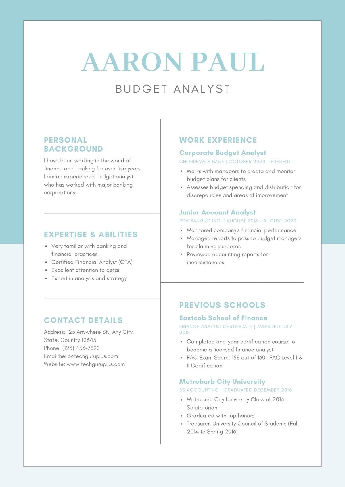 Budget Analyst Editable Resume Template Download in docx-19