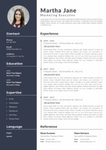 MIS Executive Resume 20 Templates Download in Word (.docx)
