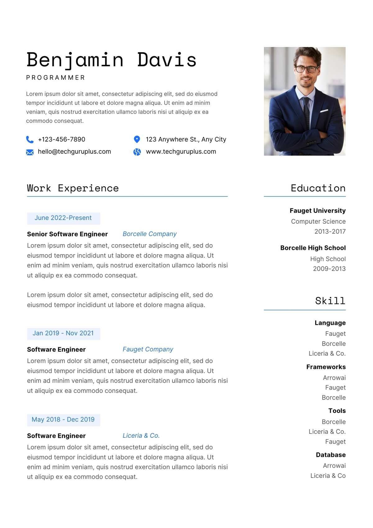 Programmer Editable Resume Template Download in docx