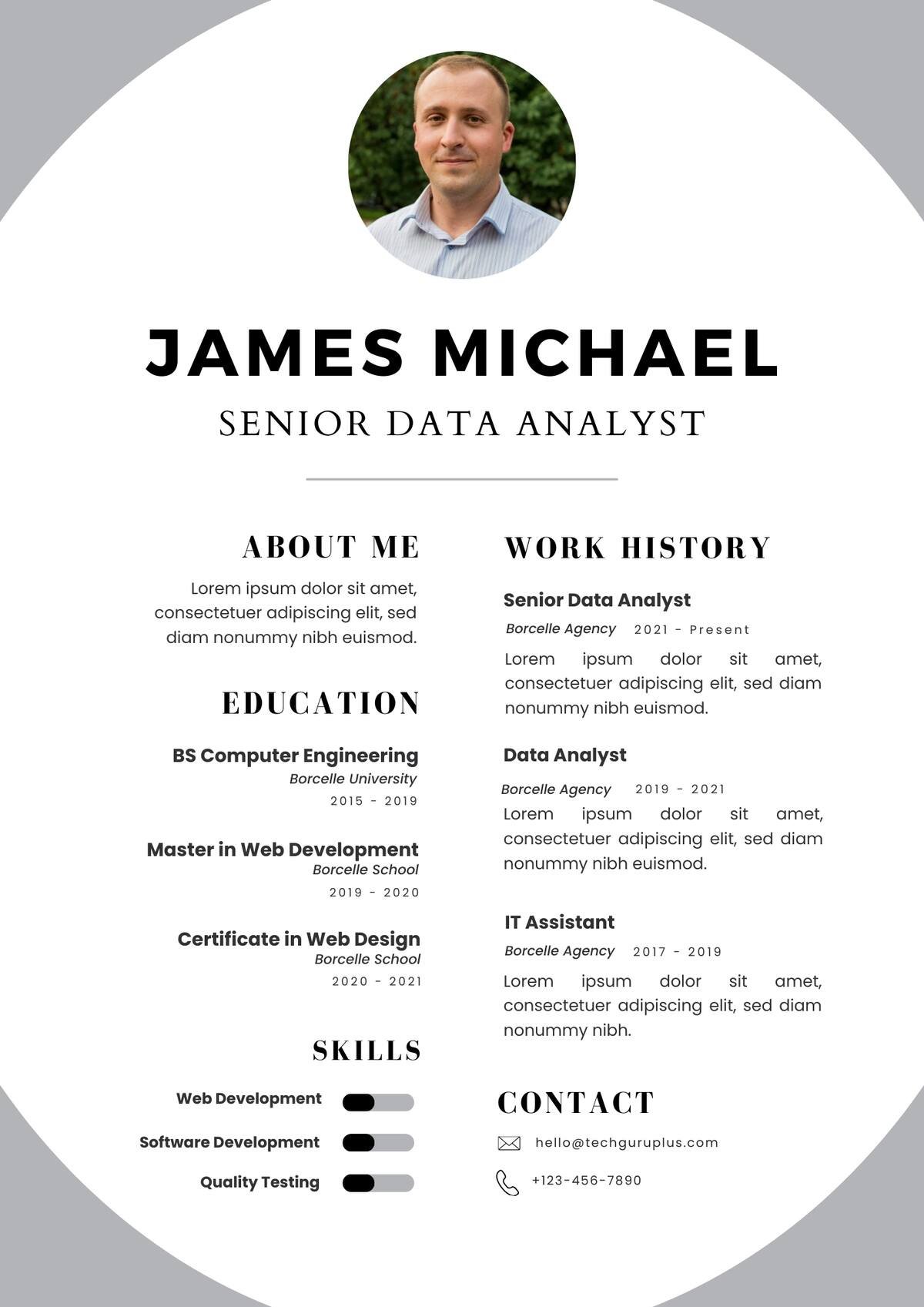 Senior Data Analyst Editable Resume Template Download in docx-12