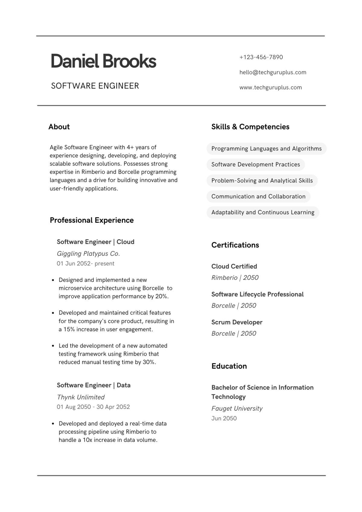 Software Engineer Editable Resume Template Download in docx (2)