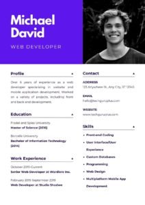 Web Developer Resume 20 Templates Download in Word (.docx)