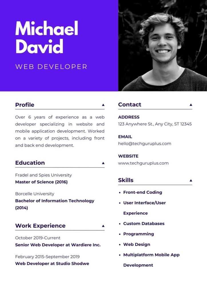 Web Developer Resume 20 Templates Download in Word (.docx)