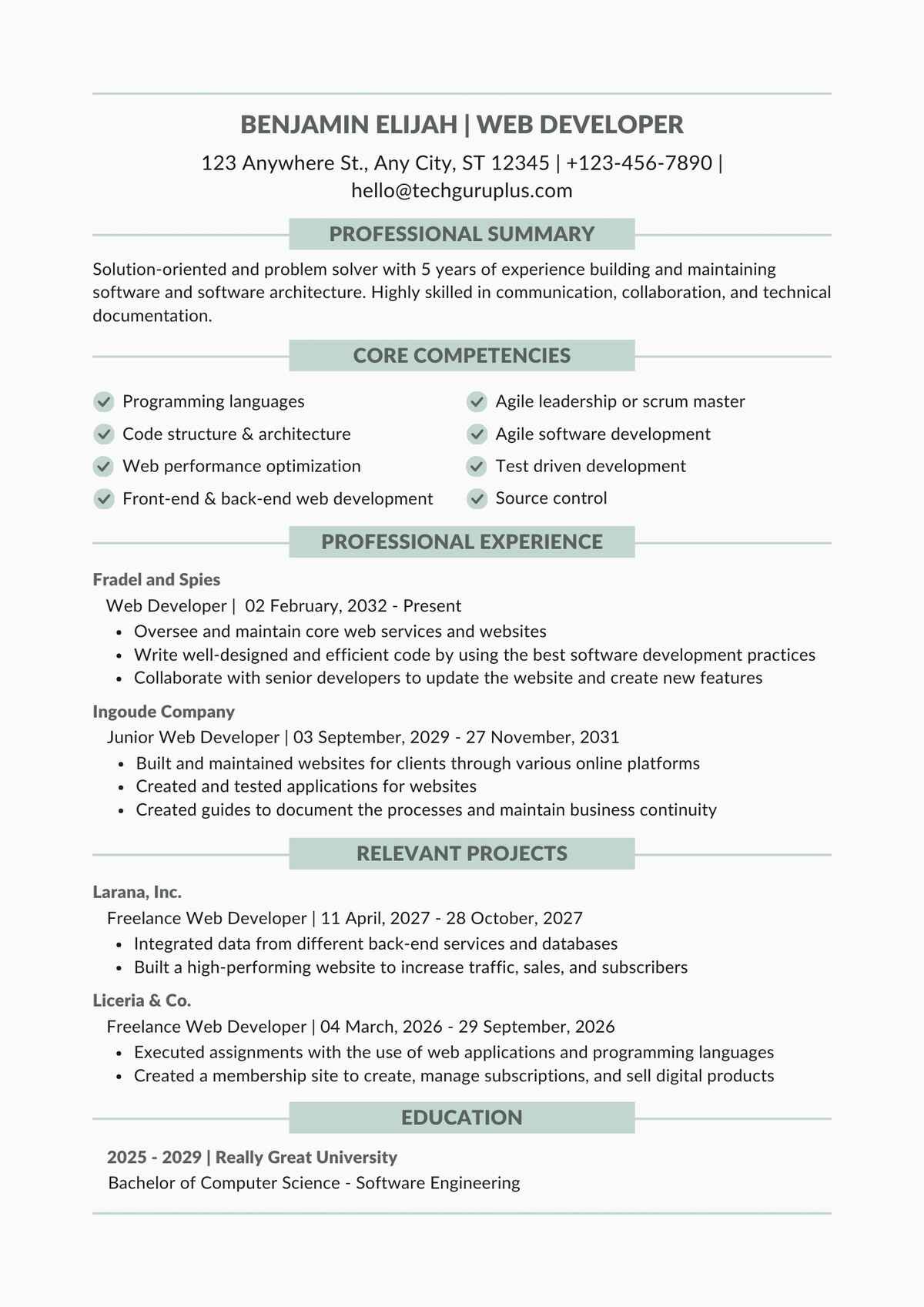 Web Developer Editable Resume Template Download in docx-14