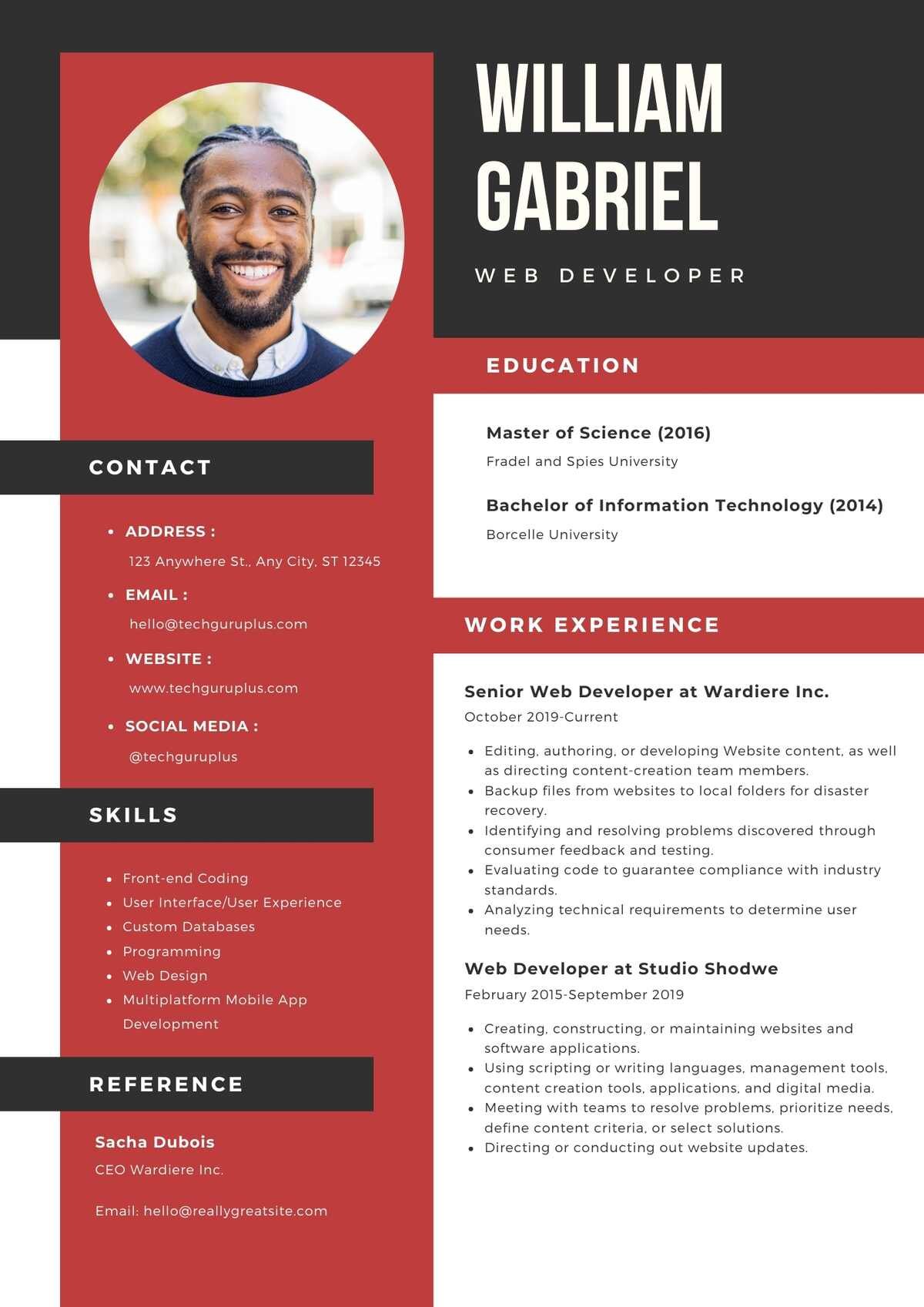 Web Developer Editable Resume Template Download in docx-19